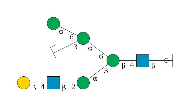 b1D-GlcNAc,p/#ccleavage--4b1D-GlcNAc,p--4b1D-Man,p(--3a1D-Man,p--2b1D-GlcNAc,p--4b1D-Gal,p)--6a1D-Man,p(--3a1D-Man,p/#zcleavage)--6a1D-Man,p$MONO,Und,-2H,0,redEnd