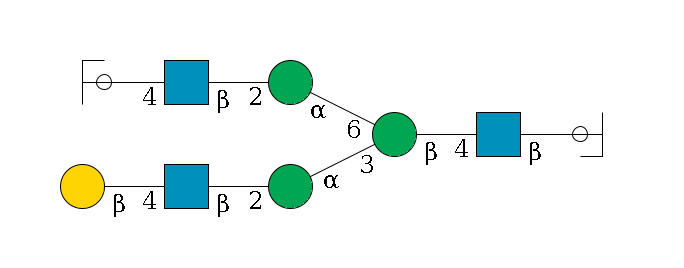 b1D-GlcNAc,p/#ccleavage--4b1D-GlcNAc,p--4b1D-Man,p(--3a1D-Man,p--2b1D-GlcNAc,p--4b1D-Gal,p)--6a1D-Man,p--2b1D-GlcNAc,p--4b1D-Gal,p/#ycleavage$MONO,Und,-2H,0,redEnd