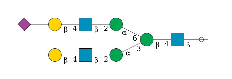 b1D-GlcNAc,p/#ccleavage--4b1D-GlcNAc,p--4b1D-Man,p(--3a1D-Man,p--2b1D-GlcNAc,p--4b1D-Gal,p)--6a1D-Man,p--2b1D-GlcNAc,p--4b1D-Gal,p--??2D-NeuAc,p$MONO,Und,-2H,0,redEnd