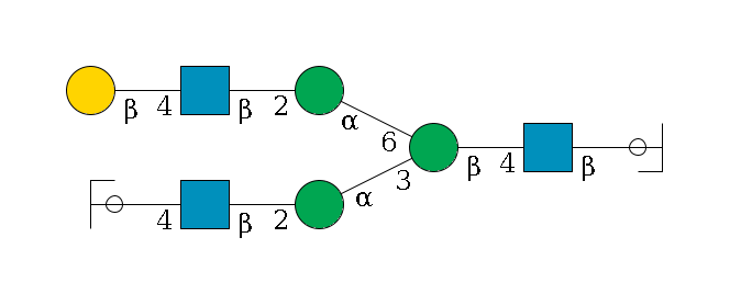 b1D-GlcNAc,p/#ccleavage--4b1D-GlcNAc,p--4b1D-Man,p(--3a1D-Man,p--2b1D-GlcNAc,p--4b1D-Gal,p/#ycleavage)--6a1D-Man,p--2b1D-GlcNAc,p--4b1D-Gal,p$MONO,Und,-2H,0,redEnd