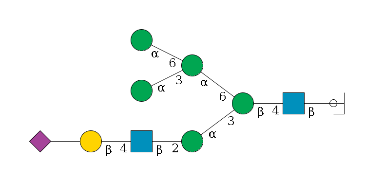 b1D-GlcNAc,p/#ccleavage--4b1D-GlcNAc,p--4b1D-Man,p(--3a1D-Man,p--2b1D-GlcNAc,p--4b1D-Gal,p--??2D-NeuAc,p)--6a1D-Man,p(--3a1D-Man,p)--6a1D-Man,p$MONO,Und,-2H,0,redEnd