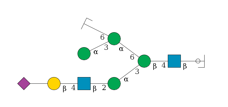 b1D-GlcNAc,p/#ccleavage--4b1D-GlcNAc,p--4b1D-Man,p(--3a1D-Man,p--2b1D-GlcNAc,p--4b1D-Gal,p--??2D-NeuAc,p)--6a1D-Man,p(--3a1D-Man,p)--6a1D-Man,p/#zcleavage$MONO,Und,-2H,0,redEnd
