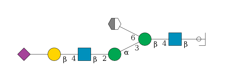 b1D-GlcNAc,p/#ccleavage--4b1D-GlcNAc,p--4b1D-Man,p(--3a1D-Man,p--2b1D-GlcNAc,p--4b1D-Gal,p--??2D-NeuAc,p)--6a1D-Man,p/#xcleavage_2_5$MONO,Und,-2H,0,redEnd