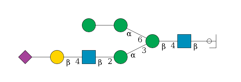 b1D-GlcNAc,p/#ccleavage--4b1D-GlcNAc,p--4b1D-Man,p(--3a1D-Man,p--2b1D-GlcNAc,p--4b1D-Gal,p--??2D-NeuAc,p)--6a1D-Man,p--??1D-Man,p$MONO,Und,-H,0,redEnd