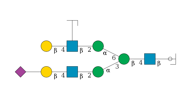 b1D-GlcNAc,p/#ccleavage--4b1D-GlcNAc,p--4b1D-Man,p(--3a1D-Man,p--2b1D-GlcNAc,p--4b1D-Gal,p--??2D-NeuAc,p)--6a1D-Man,p--2b1D-GlcNAc,p(--4b1D-Gal,p)--??1L-Fuc,p/#zcleavage$MONO,Und,-H,0,redEnd