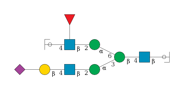 b1D-GlcNAc,p/#ccleavage--4b1D-GlcNAc,p--4b1D-Man,p(--3a1D-Man,p--2b1D-GlcNAc,p--4b1D-Gal,p--??2D-NeuAc,p)--6a1D-Man,p--2b1D-GlcNAc,p(--4b1D-Gal,p/#ycleavage)--??1L-Fuc,p$MONO,Und,-H,0,redEnd
