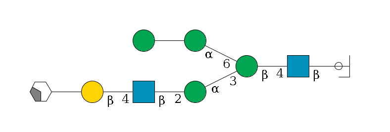 b1D-GlcNAc,p/#ccleavage--4b1D-GlcNAc,p--4b1D-Man,p(--3a1D-Man,p--2b1D-GlcNAc,p--4b1D-Gal,p--??2D-NeuAc,p/#xcleavage_2_4)--6a1D-Man,p--??1D-Man,p$MONO,Und,-H,0,redEnd