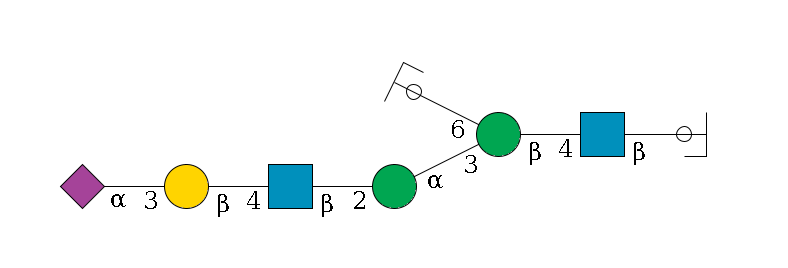 b1D-GlcNAc,p/#ccleavage--4b1D-GlcNAc,p--4b1D-Man,p(--3a1D-Man,p--2b1D-GlcNAc,p--4b1D-Gal,p--3a2D-NeuAc,p)--6a1D-Man,p/#ycleavage$MONO,Und,-2H,0,redEnd