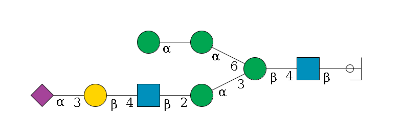 b1D-GlcNAc,p/#ccleavage--4b1D-GlcNAc,p--4b1D-Man,p(--3a1D-Man,p--2b1D-GlcNAc,p--4b1D-Gal,p--3a2D-NeuAc,p)--6a1D-Man,p--?a1D-Man,p$MONO,Und,-H,0,redEnd