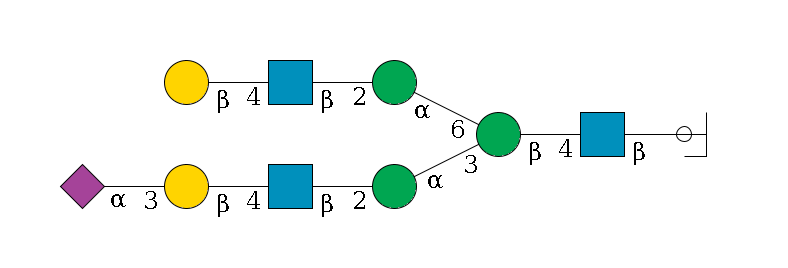 b1D-GlcNAc,p/#ccleavage--4b1D-GlcNAc,p--4b1D-Man,p(--3a1D-Man,p--2b1D-GlcNAc,p--4b1D-Gal,p--3a2D-NeuAc,p)--6a1D-Man,p--2b1D-GlcNAc,p--4b1D-Gal,p$MONO,Und,-H,0,redEnd