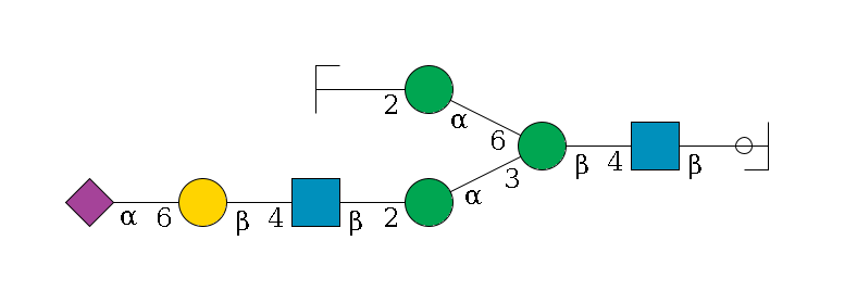 b1D-GlcNAc,p/#ccleavage--4b1D-GlcNAc,p--4b1D-Man,p(--3a1D-Man,p--2b1D-GlcNAc,p--4b1D-Gal,p--6a2D-NeuAc,p)--6a1D-Man,p--2b1D-GlcNAc,p/#zcleavage$MONO,Und,-2H,0,redEnd