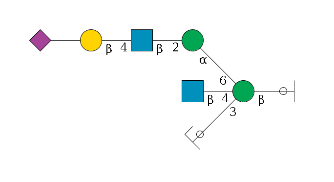 b1D-GlcNAc,p/#ccleavage--4b1D-Man,p((--3a1D-Man,p/#ycleavage)--4b1D-GlcNAc,p)--6a1D-Man,p--2b1D-GlcNAc,p--4b1D-Gal,p--??2D-NeuAc,p$MONO,Und,-H,0,redEnd