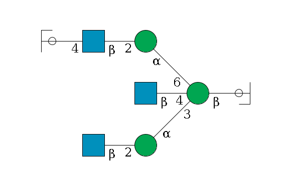 b1D-GlcNAc,p/#ccleavage--4b1D-Man,p((--3a1D-Man,p--2b1D-GlcNAc,p)--4b1D-GlcNAc,p)--6a1D-Man,p--2b1D-GlcNAc,p--4b1D-Gal,p/#ycleavage$MONO,Und,-2H,0,redEnd