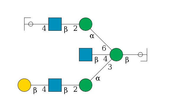 b1D-GlcNAc,p/#ccleavage--4b1D-Man,p((--3a1D-Man,p--2b1D-GlcNAc,p--4b1D-Gal,p)--4b1D-GlcNAc,p)--6a1D-Man,p--2b1D-GlcNAc,p--4b1D-Gal,p/#ycleavage$MONO,Und,-2H,0,redEnd