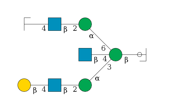 b1D-GlcNAc,p/#ccleavage--4b1D-Man,p((--3a1D-Man,p--2b1D-GlcNAc,p--4b1D-Gal,p)--4b1D-GlcNAc,p)--6a1D-Man,p--2b1D-GlcNAc,p--4b1D-Gal,p/#zcleavage$MONO,Und,-2H,0,redEnd