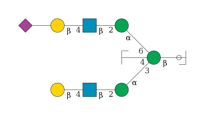 b1D-GlcNAc,p/#ccleavage--4b1D-Man,p((--3a1D-Man,p--2b1D-GlcNAc,p--4b1D-Gal,p)--4b1D-GlcNAc,p/#zcleavage)--6a1D-Man,p--2b1D-GlcNAc,p--4b1D-Gal,p--??2D-NeuAc,p$MONO,Und,-H,0,redEnd