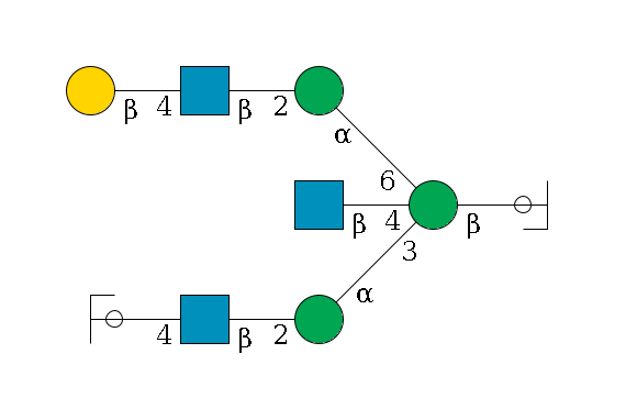 b1D-GlcNAc,p/#ccleavage--4b1D-Man,p((--3a1D-Man,p--2b1D-GlcNAc,p--4b1D-Gal,p/#ycleavage)--4b1D-GlcNAc,p)--6a1D-Man,p--2b1D-GlcNAc,p--4b1D-Gal,p$MONO,Und,-2H,0,redEnd