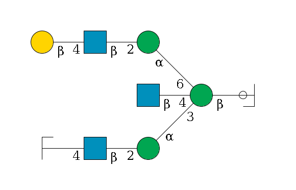 b1D-GlcNAc,p/#ccleavage--4b1D-Man,p((--3a1D-Man,p--2b1D-GlcNAc,p--4b1D-Gal,p/#zcleavage)--4b1D-GlcNAc,p)--6a1D-Man,p--2b1D-GlcNAc,p--4b1D-Gal,p$MONO,Und,-2H,0,redEnd