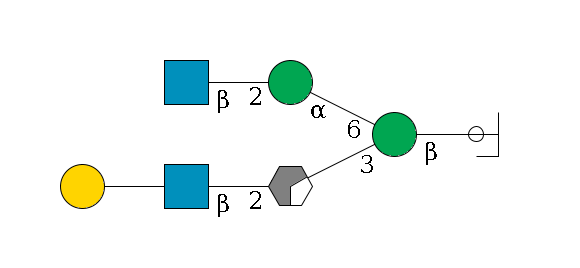 b1D-GlcNAc,p/#ccleavage--4b1D-Man,p(--3a1D-Man,p/#xcleavage_0_2--2b1D-GlcNAc,p--??1D-Gal,p)--6a1D-Man,p--2b1D-GlcNAc,p$MONO,Und,-H,0,redEnd