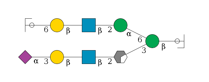 b1D-GlcNAc,p/#ccleavage--4b1D-Man,p(--3a1D-Man,p/#xcleavage_0_2--2b1D-GlcNAc,p--?b1D-Gal,p--3a2D-NeuAc,p)--6a1D-Man,p--2b1D-GlcNAc,p--?b1D-Gal,p--6a2D-NeuAc,p/#ycleavage$MONO,Und,-H,0,redEnd