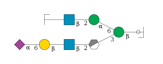 b1D-GlcNAc,p/#ccleavage--4b1D-Man,p(--3a1D-Man,p/#xcleavage_0_3--2b1D-GlcNAc,p--?b1D-Gal,p--6a2D-NeuAc,p)--6a1D-Man,p--2b1D-GlcNAc,p--?b1D-Gal,p/#zcleavage$MONO,Und,-2H,0,redEnd