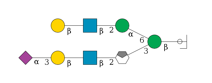b1D-GlcNAc,p/#ccleavage--4b1D-Man,p(--3a1D-Man,p/#xcleavage_0_4--2b1D-GlcNAc,p--?b1D-Gal,p--3a2D-NeuAc,p)--6a1D-Man,p--2b1D-GlcNAc,p--?b1D-Gal,p$MONO,Und,-H,0,redEnd