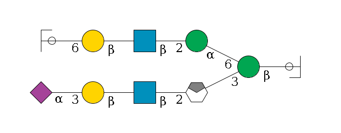 b1D-GlcNAc,p/#ccleavage--4b1D-Man,p(--3a1D-Man,p/#xcleavage_0_4--2b1D-GlcNAc,p--?b1D-Gal,p--3a2D-NeuAc,p)--6a1D-Man,p--2b1D-GlcNAc,p--?b1D-Gal,p--6a2D-NeuAc,p/#ycleavage$MONO,Und,-H,0,redEnd