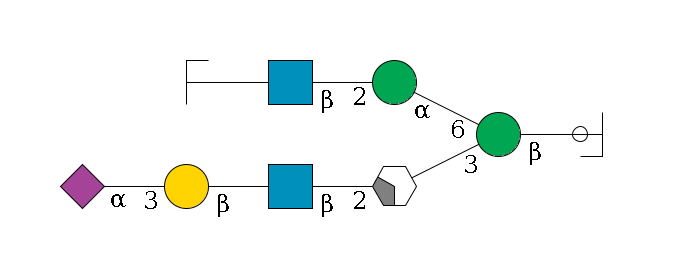 b1D-GlcNAc,p/#ccleavage--4b1D-Man,p(--3a1D-Man,p/#xcleavage_2_4--2b1D-GlcNAc,p--?b1D-Gal,p--3a2D-NeuAc,p)--6a1D-Man,p--2b1D-GlcNAc,p--?b1D-Gal,p/#zcleavage$MONO,Und,-2H,0,redEnd