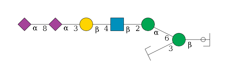 b1D-GlcNAc,p/#ccleavage--4b1D-Man,p(--3a1D-Man,p/#zcleavage)--6a1D-Man,p--2b1D-GlcNAc,p--4b1D-Gal,p--3a2D-NeuAc,p--8a2D-NeuAc,p$MONO,Und,-H,0,redEnd