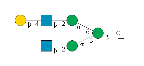 b1D-GlcNAc,p/#ccleavage--4b1D-Man,p(--3a1D-Man,p--2b1D-GlcNAc,p)--6a1D-Man,p--2b1D-GlcNAc,p--4b1D-Gal,p$MONO,Und,-2H,0,redEnd