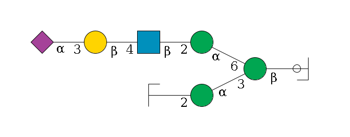 b1D-GlcNAc,p/#ccleavage--4b1D-Man,p(--3a1D-Man,p--2b1D-GlcNAc,p/#zcleavage)--6a1D-Man,p--2b1D-GlcNAc,p--4b1D-Gal,p--3a2D-NeuAc,p$MONO,Und,-2H,0,redEnd