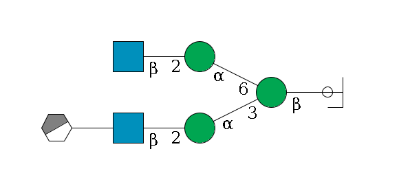 b1D-GlcNAc,p/#ccleavage--4b1D-Man,p(--3a1D-Man,p--2b1D-GlcNAc,p--??1D-Gal,p/#xcleavage_0_3)--6a1D-Man,p--2b1D-GlcNAc,p$MONO,Und,-2H,0,redEnd