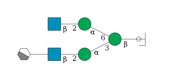b1D-GlcNAc,p/#ccleavage--4b1D-Man,p(--3a1D-Man,p--2b1D-GlcNAc,p--??1D-Gal,p/#xcleavage_1_4)--6a1D-Man,p--2b1D-GlcNAc,p$MONO,Und,-2H,0,redEnd