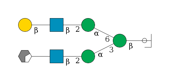 b1D-GlcNAc,p/#ccleavage--4b1D-Man,p(--3a1D-Man,p--2b1D-GlcNAc,p--?b1D-Gal,p/#xcleavage_0_2)--6a1D-Man,p--2b1D-GlcNAc,p--?b1D-Gal,p$MONO,Und,-H,0,redEnd