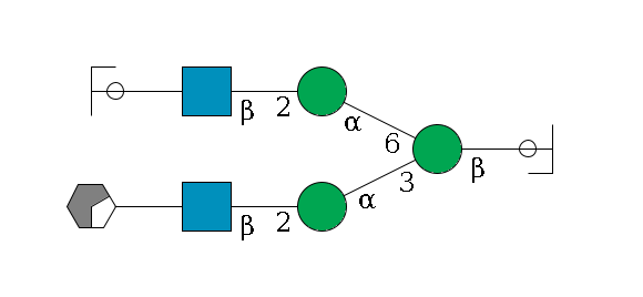 b1D-GlcNAc,p/#ccleavage--4b1D-Man,p(--3a1D-Man,p--2b1D-GlcNAc,p--?b1D-Gal,p/#xcleavage_0_2)--6a1D-Man,p--2b1D-GlcNAc,p--?b1D-Gal,p/#ycleavage$MONO,Und,-H,0,redEnd