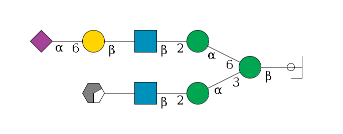 b1D-GlcNAc,p/#ccleavage--4b1D-Man,p(--3a1D-Man,p--2b1D-GlcNAc,p--?b1D-Gal,p/#xcleavage_0_2)--6a1D-Man,p--2b1D-GlcNAc,p--?b1D-Gal,p--6a2D-NeuAc,p$MONO,Und,-H,0,redEnd