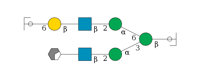 b1D-GlcNAc,p/#ccleavage--4b1D-Man,p(--3a1D-Man,p--2b1D-GlcNAc,p--?b1D-Gal,p/#xcleavage_0_2)--6a1D-Man,p--2b1D-GlcNAc,p--?b1D-Gal,p--6a2D-NeuAc,p/#ycleavage$MONO,Und,-H,0,redEnd