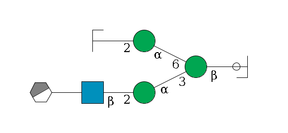 b1D-GlcNAc,p/#ccleavage--4b1D-Man,p(--3a1D-Man,p--2b1D-GlcNAc,p--?b1D-Gal,p/#xcleavage_0_3)--6a1D-Man,p--2b1D-GlcNAc,p/#zcleavage$MONO,Und,-2H,0,redEnd