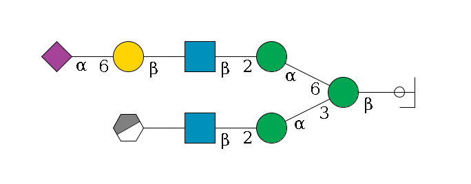 b1D-GlcNAc,p/#ccleavage--4b1D-Man,p(--3a1D-Man,p--2b1D-GlcNAc,p--?b1D-Gal,p/#xcleavage_0_3)--6a1D-Man,p--2b1D-GlcNAc,p--?b1D-Gal,p--6a2D-NeuAc,p$MONO,Und,-2H,0,redEnd