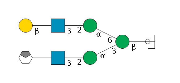 b1D-GlcNAc,p/#ccleavage--4b1D-Man,p(--3a1D-Man,p--2b1D-GlcNAc,p--?b1D-Gal,p/#xcleavage_0_4)--6a1D-Man,p--2b1D-GlcNAc,p--?b1D-Gal,p$MONO,Und,-2H,0,redEnd