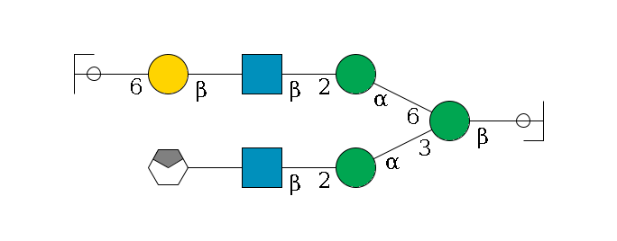 b1D-GlcNAc,p/#ccleavage--4b1D-Man,p(--3a1D-Man,p--2b1D-GlcNAc,p--?b1D-Gal,p/#xcleavage_0_4)--6a1D-Man,p--2b1D-GlcNAc,p--?b1D-Gal,p--6a2D-NeuAc,p/#ycleavage$MONO,Und,-2H,0,redEnd