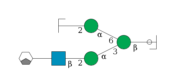 b1D-GlcNAc,p/#ccleavage--4b1D-Man,p(--3a1D-Man,p--2b1D-GlcNAc,p--?b1D-Gal,p/#xcleavage_1_3)--6a1D-Man,p--2b1D-GlcNAc,p/#zcleavage$MONO,Und,-H,0,redEnd
