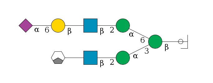 b1D-GlcNAc,p/#ccleavage--4b1D-Man,p(--3a1D-Man,p--2b1D-GlcNAc,p--?b1D-Gal,p/#xcleavage_1_3)--6a1D-Man,p--2b1D-GlcNAc,p--?b1D-Gal,p--6a2D-NeuAc,p$MONO,Und,-H,0,redEnd