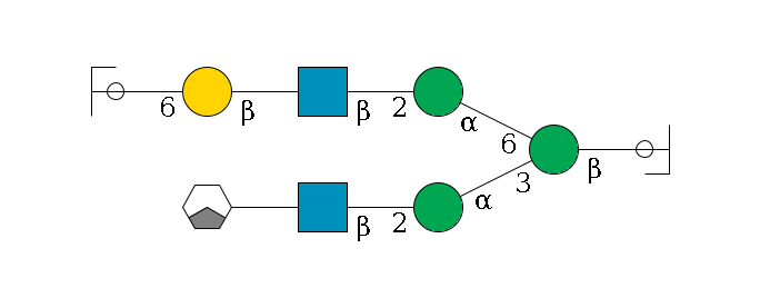 b1D-GlcNAc,p/#ccleavage--4b1D-Man,p(--3a1D-Man,p--2b1D-GlcNAc,p--?b1D-Gal,p/#xcleavage_1_3)--6a1D-Man,p--2b1D-GlcNAc,p--?b1D-Gal,p--6a2D-NeuAc,p/#ycleavage$MONO,Und,-2H,0,redEnd