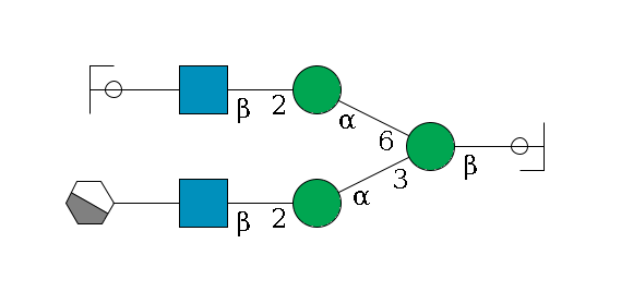 b1D-GlcNAc,p/#ccleavage--4b1D-Man,p(--3a1D-Man,p--2b1D-GlcNAc,p--?b1D-Gal,p/#xcleavage_1_4)--6a1D-Man,p--2b1D-GlcNAc,p--?b1D-Gal,p/#ycleavage$MONO,Und,-2H,0,redEnd