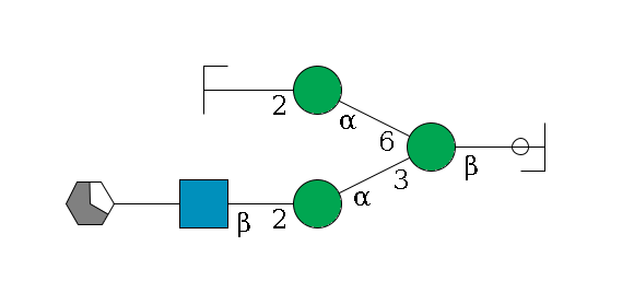 b1D-GlcNAc,p/#ccleavage--4b1D-Man,p(--3a1D-Man,p--2b1D-GlcNAc,p--?b1D-Gal,p/#xcleavage_1_5)--6a1D-Man,p--2b1D-GlcNAc,p/#zcleavage$MONO,Und,-H,0,redEnd