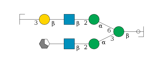 b1D-GlcNAc,p/#ccleavage--4b1D-Man,p(--3a1D-Man,p--2b1D-GlcNAc,p--?b1D-Gal,p/#xcleavage_1_5)--6a1D-Man,p--2b1D-GlcNAc,p--?b1D-Gal,p--3a2D-NeuAc,p/#zcleavage$MONO,Und,-H,0,redEnd