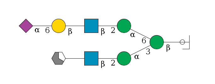 b1D-GlcNAc,p/#ccleavage--4b1D-Man,p(--3a1D-Man,p--2b1D-GlcNAc,p--?b1D-Gal,p/#xcleavage_1_5)--6a1D-Man,p--2b1D-GlcNAc,p--?b1D-Gal,p--6a2D-NeuAc,p$MONO,Und,-H,0,redEnd