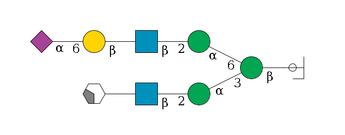b1D-GlcNAc,p/#ccleavage--4b1D-Man,p(--3a1D-Man,p--2b1D-GlcNAc,p--?b1D-Gal,p/#xcleavage_2_4)--6a1D-Man,p--2b1D-GlcNAc,p--?b1D-Gal,p--6a2D-NeuAc,p$MONO,Und,-H,0,redEnd