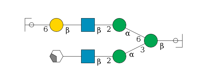 b1D-GlcNAc,p/#ccleavage--4b1D-Man,p(--3a1D-Man,p--2b1D-GlcNAc,p--?b1D-Gal,p/#xcleavage_2_4)--6a1D-Man,p--2b1D-GlcNAc,p--?b1D-Gal,p--6a2D-NeuAc,p/#ycleavage$MONO,Und,-2H,0,redEnd